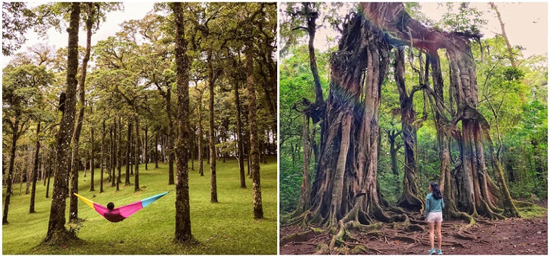 3 Objek Wisata Pavorit Di Kabupaten Tabanan