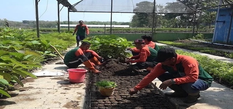 Visi & Misi untuk Lingkungan Hidup di Kota Probolinggo