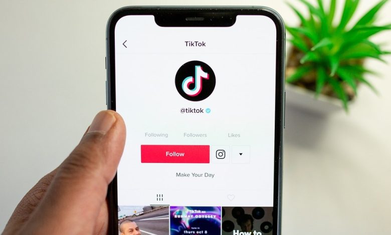Cara Mudah Bikin Video TikTok Dapat Ribuan Like dalam Waktu Singkat