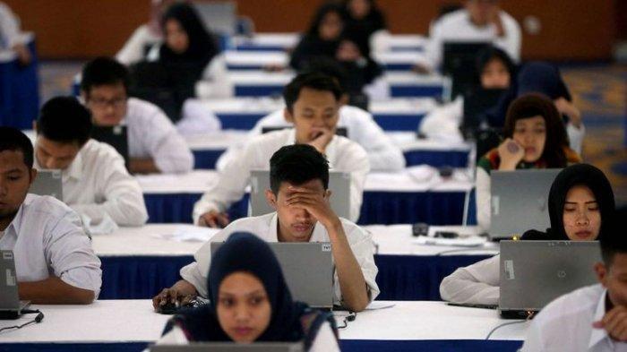 Tips Sukses Menghadapi Tes CPNS dengan Ayocpns Tryout