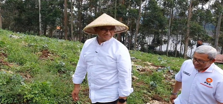 Konsep Contract Farming Didasarkan Pada Dorongan Untuk Mengatasi Program Food Estate