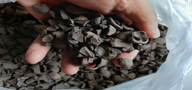 Manfaat  dan Keuntungan Cangkang Sawit Untuk Perindustrian