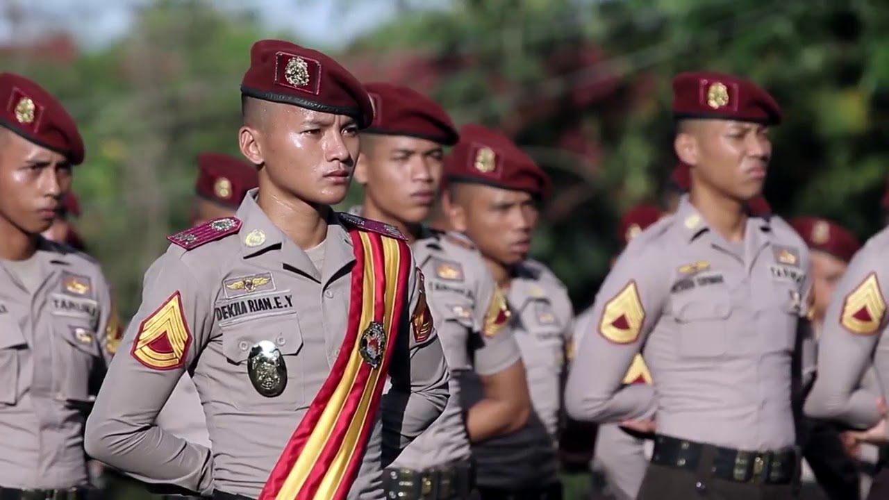 Sukses Pendaftaran Kedinasan Polri 2026: Tips dari Alumni dan Taruna Berprestasi